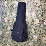 Jerry Jones Baby Sitar Coral