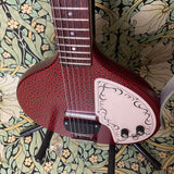 Jerry Jones Baby Sitar Coral