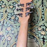 Jerry Jones Baby Sitar Coral