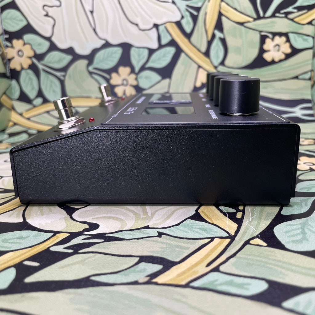 Echo Fix EF-P2 Spring Reverb – eastside music supply