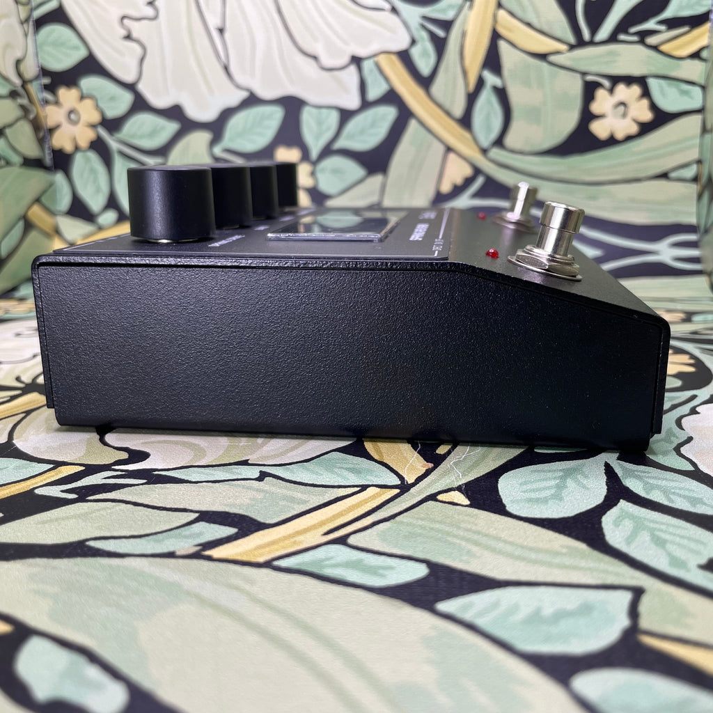 Echo Fix EF-P2 Spring Reverb – eastside music supply