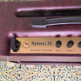Black Tape Amplifiers Natural 20 1x12 Combo Amp