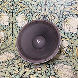 Electro-Voice EVM 12L Speaker