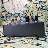 Strymon Timeline - Used