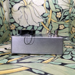 Tonetuga FX Delphine Delay