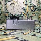 Tonetuga FX Delphine Delay