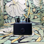 Old Blood Noise Endeavors Dark Star
