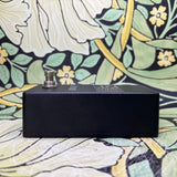 DS Custom Audio Electronics Octanaut - Used