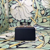 Friedman Golden Pearl Transparent Lower Gain Overdrive