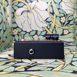 Friedman Golden Pearl Transparent Lower Gain Overdrive