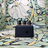 Friedman Golden Pearl Transparent Lower Gain Overdrive