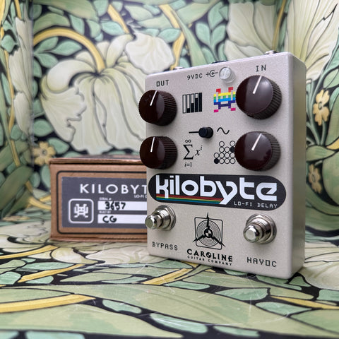 Caroline Guitar Company Kilobyte Lo-Fi Delay