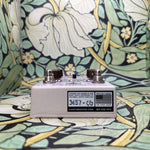 Caroline Guitar Company Kilobyte Lo-Fi Delay