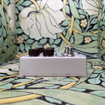 Caroline Guitar Company Kilobyte Lo-Fi Delay