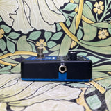EBS Octabass - Used