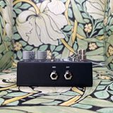 Chase Bliss Dirt Bird - Used