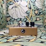 Catalinbread Echorec Multi-Head Drum Echo