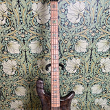 Spector USA NS-2 Super Faded Black 2021