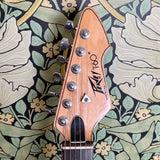 Peavey T-60 Red 1981