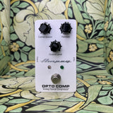 Ampeg Opto Comp Analog Optical Compressor