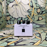 Ampeg Opto Comp Analog Optical Compressor