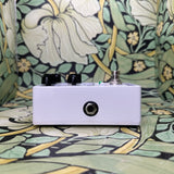 Ampeg Opto Comp Analog Optical Compressor