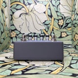 Catalinbread Belle Epoch Deluxe