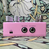 Chase Bliss Lossy - Used
