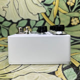 Browne Amplification Protein Dual Overdrive V4 - White