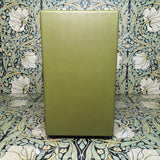 Benson Amps Earhart Reverb Plus Combo - Eastside Exclusive