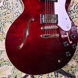 Epiphone Noel Gallagher Riviera