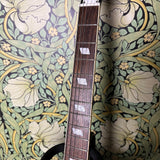 Epiphone Noel Gallagher Riviera