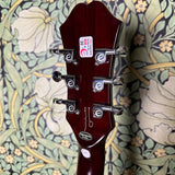 Epiphone Noel Gallagher Riviera