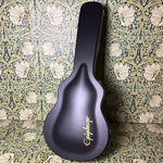 Epiphone Noel Gallagher Riviera