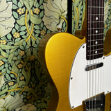 Fender Parts Telecaster Custom Gold Relic