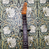 Fender Parts Telecaster Custom Gold Relic