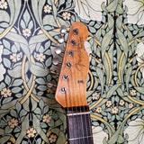 Fender Parts Telecaster Custom Gold Relic