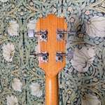 Klira Hollowbody Bass 1960's