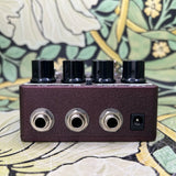 Asheville Music Tools ACV-1 Time Warping Chorus & Vibrato - Used