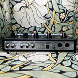 TC Electronic Alter Ego X4 Vintage Echo