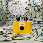 LHZ Preamps HL-1 Hazard Lamps - Used