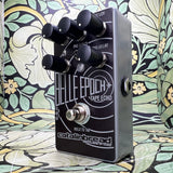 Catalinbread Belle Epoch +