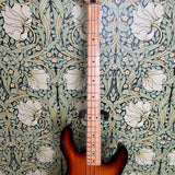 Peavey T-45 1983