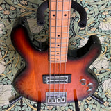 Peavey T-45 1983