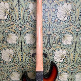 Peavey T-45 1983