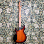 Peavey T-45 1983