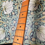 Squier Classic Vibe 50's Telecaster Butterscotch Blonde 2023