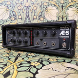 Guyatone AE-5 Analog Delay