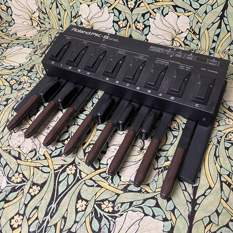Roland PK-5 Dynamic Midi Pedal