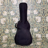 Casio DG-20 Digital Guitar Synth